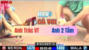 Trận 5 CPC1 19/05/2025 Gà Úa Có Chân Trời Đánh Mau Lẹ Về Nhà