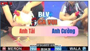 Trận 13 CPC2 18/05/2025 Gà Úa Đá Khó Chịu Vãi Đạn Đúng Chân 1 Lụm