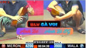 Trận 19 CPC1 20/05/2025 Mẻ Xám Giạt Giạt Mấy Chân Gom Lúa Về