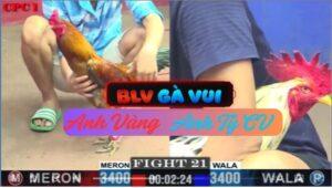 Trận 21 CPC1 20/05/2025 Bướm Bay Nhẹ Nhàng Gà Khét Chết Tốt